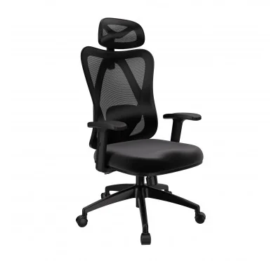 Sedia da ufficio ergonomica, nero + gambe nere