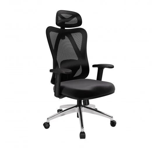 Sedia da ufficio ergonomica, nero + gambe argentate